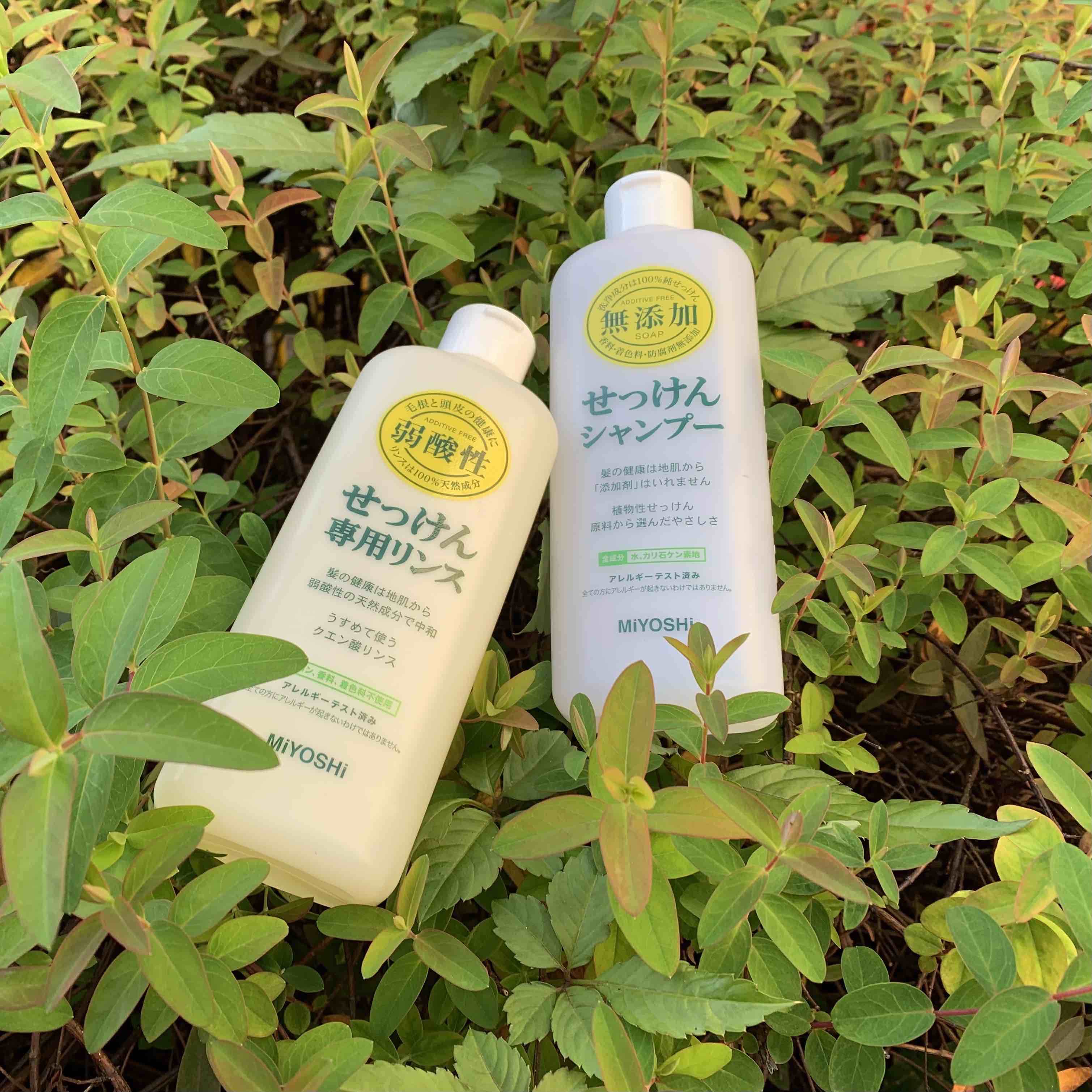 IMG_3499_2.jpg?v=1743054298